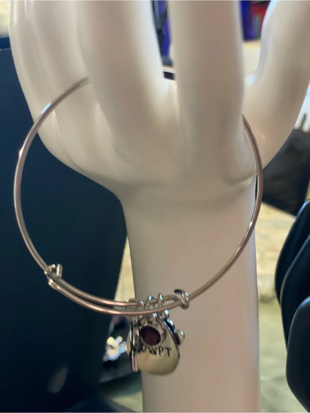 Stainless Steel Bangle Bracelet with various Adopt Pet Charms